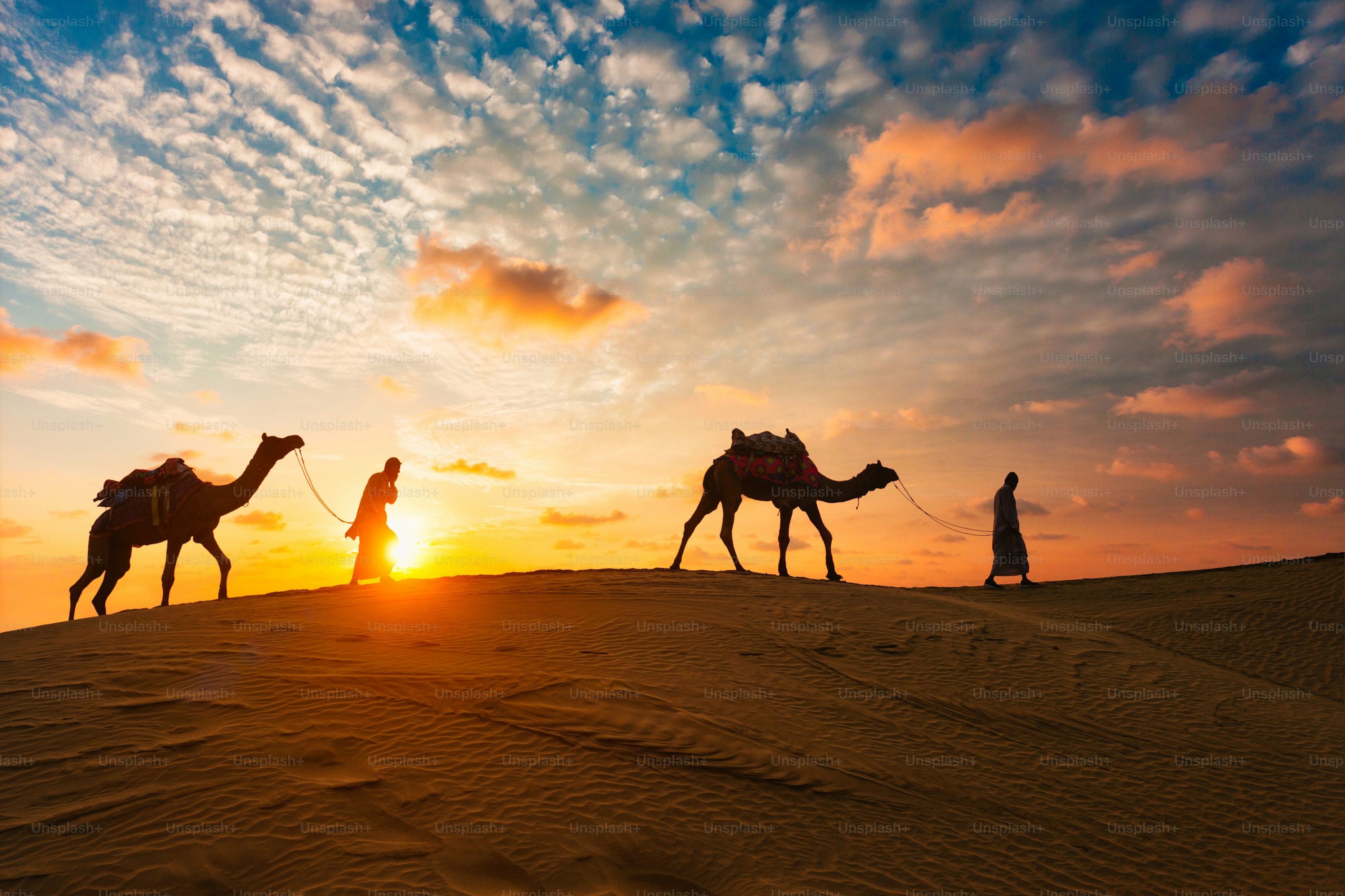 Dubai Tours