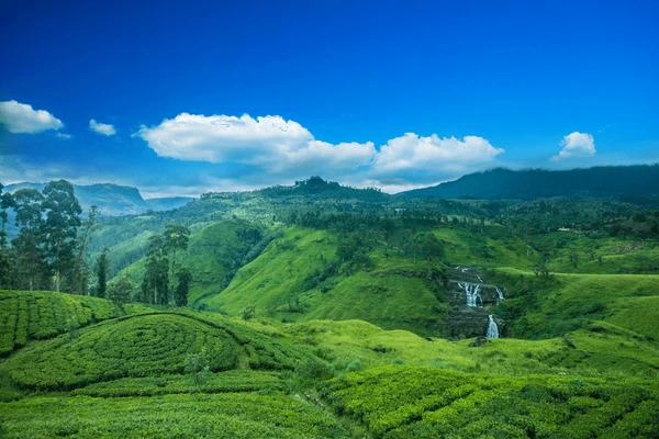 Sri Lanka Tours